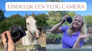 Tijd voor verandering  PAULAHORSELIFE [upl. by Noelyn]