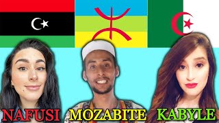 Can Kabyle Nafusi amp Mozabite Amazighs Berbers Understand Each Other [upl. by Jac]