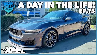 DARK HORSE Mustang Gets Full Tritek Treatment  DAY IN THE LIFE EP 73  Tritek Window Tinting [upl. by Merell832]