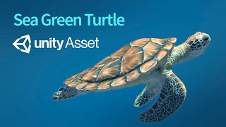 Sea Green Turtle 3D [upl. by Hussar]