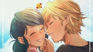 sex is on fire cannons Miraculous ladybug amv Adrienette [upl. by Asyle]