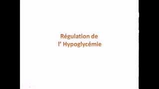 Régulation de lhypoglycémie [upl. by Eelsel463]