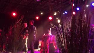 Möhrkvlth  Kan An Anaon Live at Cernunnos Pagan Fest 2017 [upl. by Nnylatsyrc]