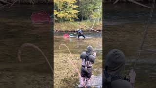 Catching King Salmon fishing freshwaterfish kingsalmon salmonrun salmon michigan fish [upl. by Ahsiloc608]