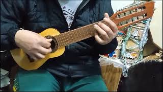 Charango Tuning [upl. by Aleda]