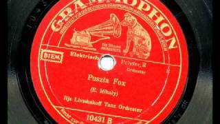 Ilja Livschakoff PusztaFox 31101935 [upl. by Fink]