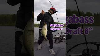 Megabass Magdraft 8” Swimbait [upl. by Elram]