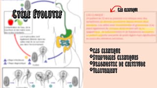 10 mins pour comprendre LE CYCLE EVOLUTIF DE GIARDIA INTESTINALIS [upl. by Barrett]