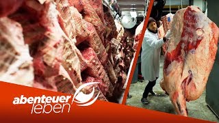 Tierschutz Hühner schlachten mit mobiler Geflügelschlachtung  Unser Land  BR [upl. by Ecnarretal607]