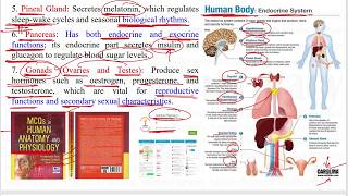 Anatomy amp Physiology 103 Endocrine System Basic Introduction Hormones  Types of Hormones HAP [upl. by Alket]