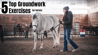 Helping Your OTTB Horse To Find Relaxation Under Saddle [upl. by Segalman657]