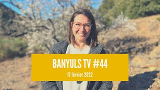 Banyuls TV 44 17 février 2022 [upl. by Clemmie]