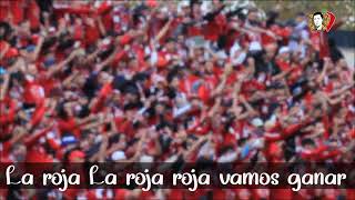 Ultras Fanatic Reds  All in  Live [upl. by Engle489]