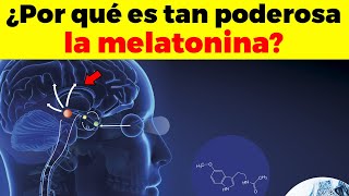 El Secreto De La Melatonina  Para Qué Sirve Beneficios y Usos de La Melatonina  Dormir [upl. by Elokkin137]