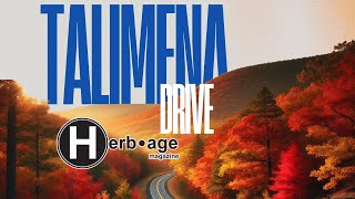 Talimena Drive A Serene Journey Through Oklahoma’s Fall Foliage  Presented by Herbage Magazine [upl. by Nordgren]