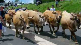 Transhumance Aubrac 2012 [upl. by Socher]