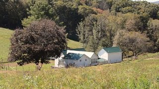 For Sale  Farm and Farmhouse at 632 Roller Mill Rd Shady Valley TN [upl. by Betthezul]