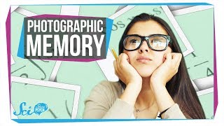 Does Photographic Memory Exist [upl. by Raynell753]