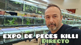 EXPOSICION DE PECES KILLI  SEK en Directo [upl. by Standley568]