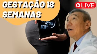 AO VIVO GESTAÇÃO DE 18 SEMANAS [upl. by Hildagard]