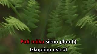 Div pļaviņas es nopļāvu KARAOKE [upl. by Doerrer]