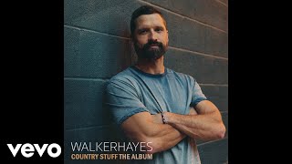 Walker Hayes  Delorean Official Audio [upl. by Ynnaffit]