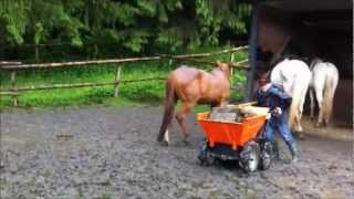 Motoschubkarre MuckTruck auf dem nach tagelangem Regen tief verschlammten Paddock [upl. by Asiret984]