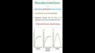 Photosynthesis Limited Factors geneticteacher [upl. by Alliuqa290]