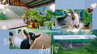 Lurisae farm in the morning [upl. by Gar136]