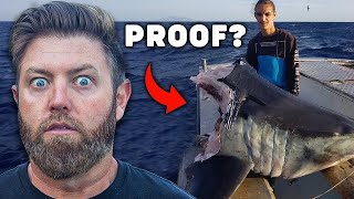 Did Megalodon Bite This Shark In Half Wildlife Expert Reacts [upl. by Nager627]