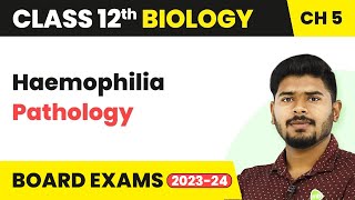 Class 12 Biology Ch 5  Haemophilia Pathology  Principles of Inheritance and Variation 202223 [upl. by Kiernan]