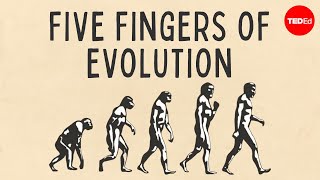 Five fingers of evolution  Paul Andersen [upl. by Gorey83]