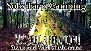 Solo Tarp Camping 500 Sub Celebration  Gourmet Camp Cooking [upl. by Gwenni496]