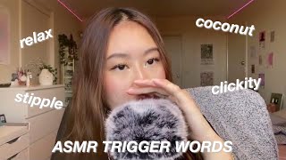 ASMR TRIGGER WORDS [upl. by Acsisnarf587]