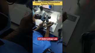 Embryo thawing process before Embryo Transfer in IVF embryology embryologist ivfprocess medical [upl. by Asirret]