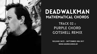 Deadwalkman  Purple Chord Gotshell Remix [upl. by Nnail]