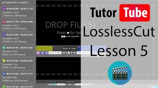 LossLessCut Tutorial  Lesson 5  Exporting Video [upl. by Linea754]