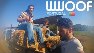 WWOOFer Experience in Portugal [upl. by Sad468]