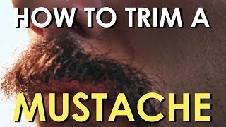 How to Trim Your Mustache  The Art of Manliness [upl. by Araiet]