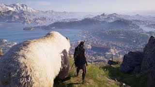 Tamed Animal Build  OP Bear amp Poison Nightmare  AC Odyssey [upl. by Barcellona526]