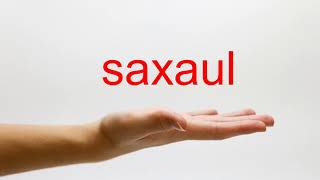 How to Pronounce saxaul  American English [upl. by Atires16]