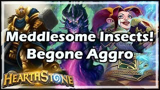 Hearthstone Meddlesome Insects Begone Aggro [upl. by Rexferd]