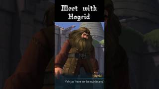 Hagrid the giant of Hogwarts  SRP ASMR  gaming asmr [upl. by Niuqaoj]