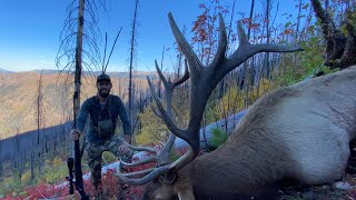 My Biggest Bull Elk Yet Backcountry Idaho Elk Hunt  S7E12 Limitless Outdoors [upl. by Nitsir]