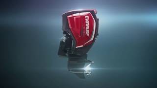 Motores Evinrude E Tec Aquasportpe [upl. by Nnael]