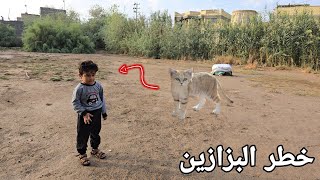 الكوري نفخت علية بزونة وصارت بي حالة غريبة😢💔 [upl. by Valtin]