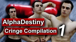 AlphaDestiny CRINGE COMPILATION 1 [upl. by Lorinda]