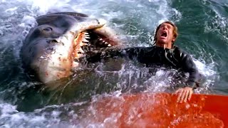 All the best shark attacks from Jaws 🌀 4K [upl. by Dagley]