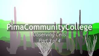 BIO 156 Observing Cells Part 3 of 4 [upl. by Lewie]