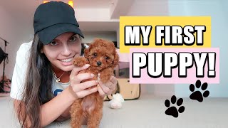 Vlog My FIRST DOG  First 24 hours with a PUPPY 🐶 [upl. by Parke]